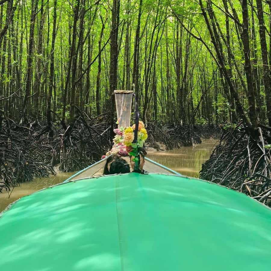 Ko Lanta: EXPLORE MANGROVE TOUR BY LONGTAIL BOAT WITH LUNCH - Key points before you go