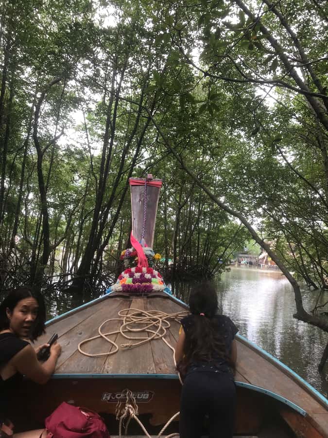 Ko Lanta: EXPLORE MANGROVE TOUR BY LONGTAIL BOAT WITH LUNCH - Why Ko Lanta Mangroves Feel Like a Slow, Shady Reset