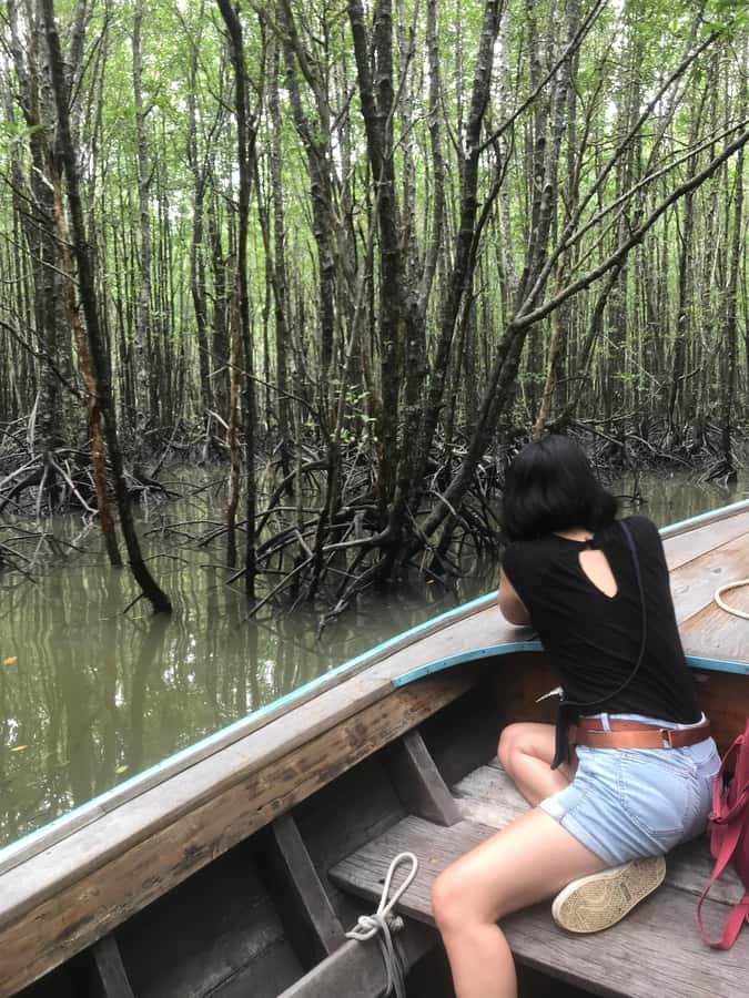 Ko Lanta: EXPLORE MANGROVE TOUR BY LONGTAIL BOAT WITH LUNCH - Mangrove Seafood Restaurant Lunch on the Water