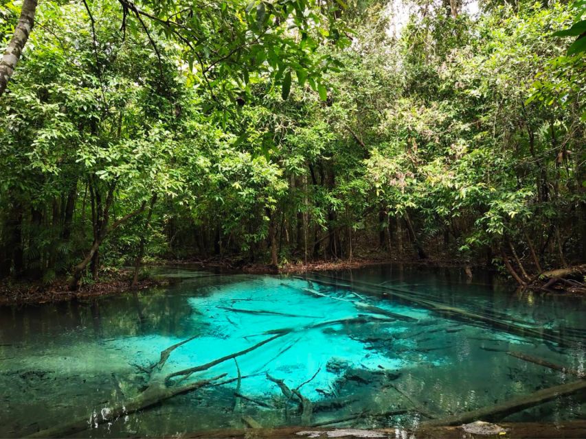 Ko Lanta: Full Day Emerald Pool&Hot Spring With Tiger Temple - Wat Tham Suea Tiger Cave Temple: 1,260 steps and big views