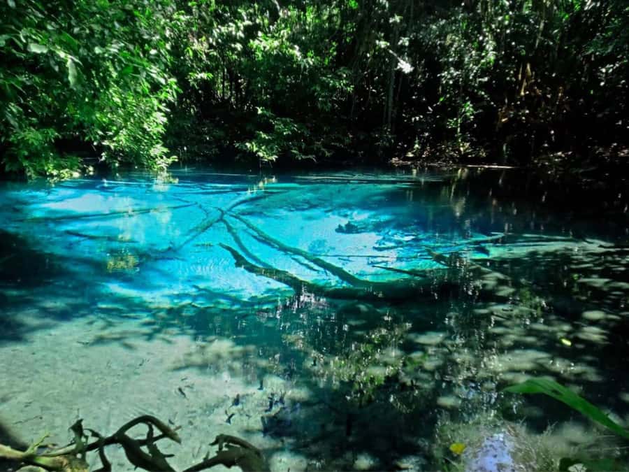 Ko Lanta: Full Day Emerald Pool&Hot Spring With Tiger Temple - Timing, transport legs, and how to stay comfortable