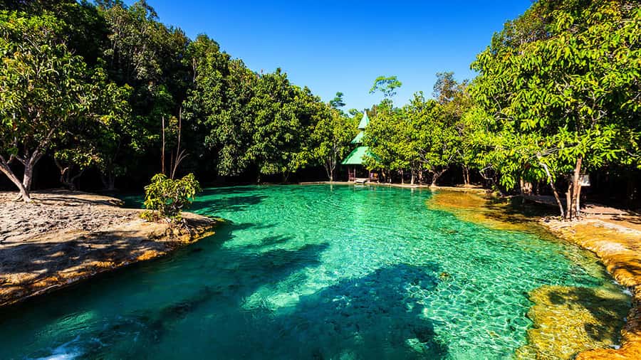 Ko Lanta: Full Day Emerald Pool&Hot Spring With Tiger Temple - Price and value: what your $160 covers