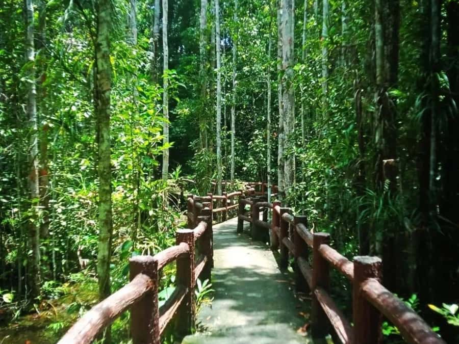 Ko Lanta: Full Day Emerald Pool&Hot Spring With Tiger Temple - Who this tour fits best (and who should skip it)