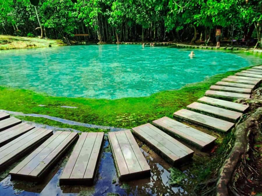 Ko Lanta: Full Day Emerald Pool&Hot Spring With Tiger Temple - Emerald Pool: jungle paths and emerald-green water