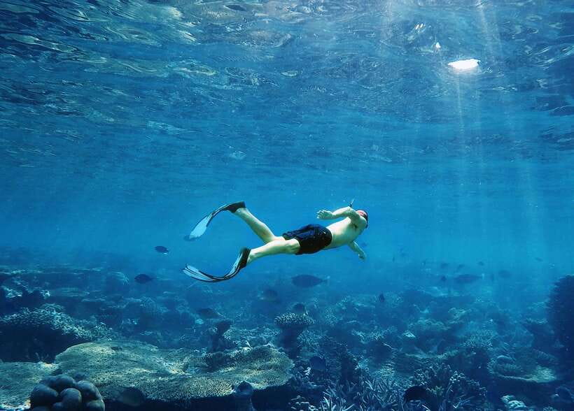 Ko Lanta: Full-Day Snorkel Trip to Phi Phi & Bamboo Islands - Bamboo Island white-sand break and the buffet lunch you’ll remember