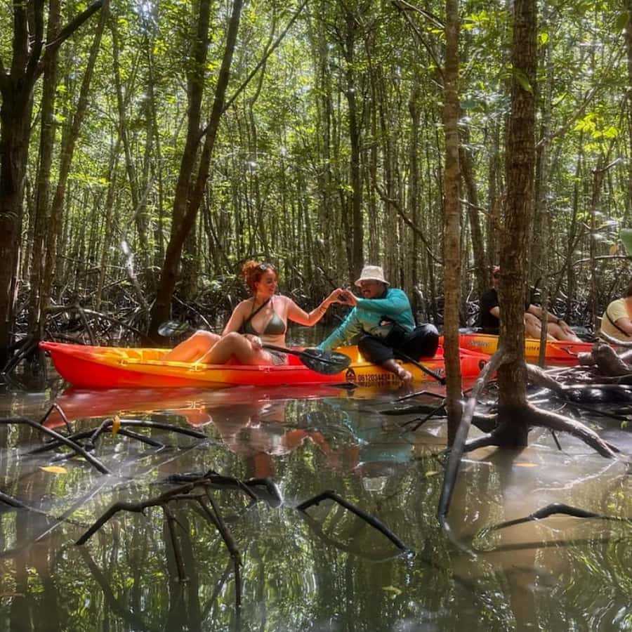 Ko Lanta: HALF DAY EXPLORE MANGROVE KAYAKING TOUR AND LUNCH - Kayaking through the mangrove forests: what you’ll actually see