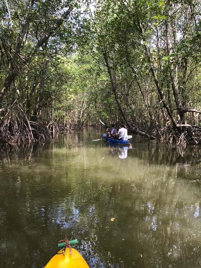 Ko Lanta: HALF DAY EXPLORE MANGROVE KAYAKING TOUR AND LUNCH - Village and fisherman life from the water