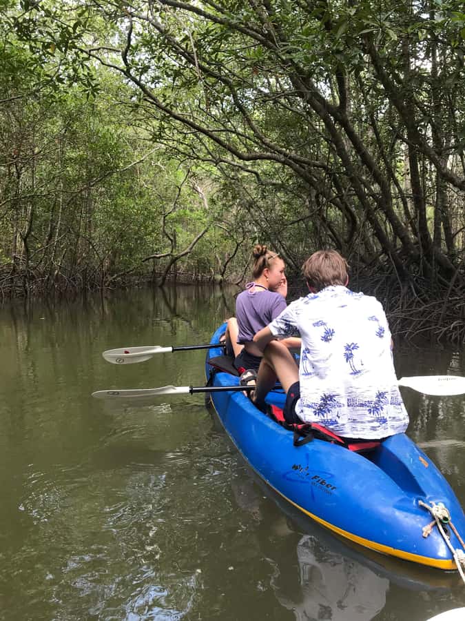 Ko Lanta: HALF DAY EXPLORE MANGROVE KAYAKING TOUR AND LUNCH - Wildlife spotting isn’t random here: birds, mudskippers, and crabs