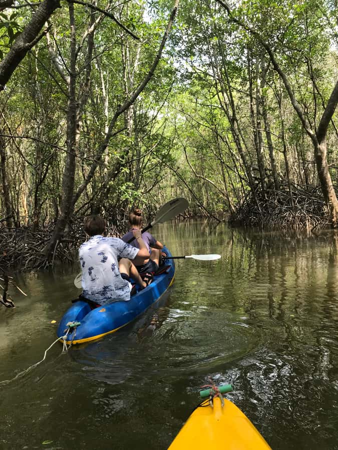 Ko Lanta: HALF DAY EXPLORE MANGROVE KAYAKING TOUR AND LUNCH - Fish farm visit and lunch at Mangrove Restaurant