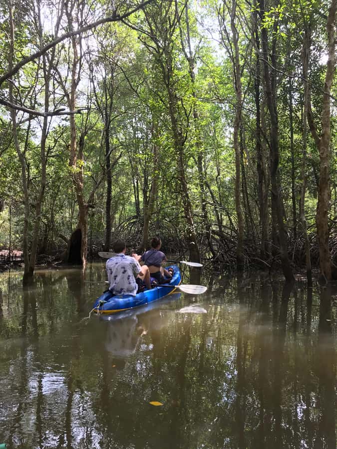 Ko Lanta: HALF DAY EXPLORE MANGROVE KAYAKING TOUR AND LUNCH - What to bring (and what you’ll thank yourself for later)