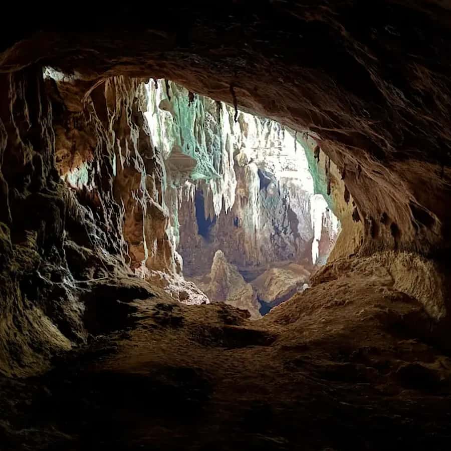 Ko Lanta: Half-Day Kayaking Koh Phee & Koh Talabeng 2 Caves - Price and value: is $31 really enough?