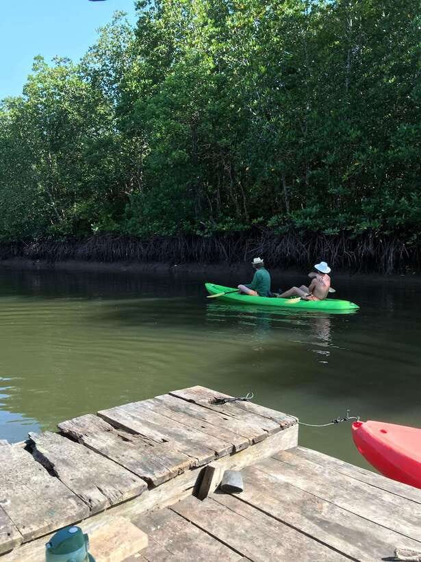 Ko Lanta: Half-Day Mangrove Kayaking Tour with Lunch - Key Highlights You’ll Actually Care About