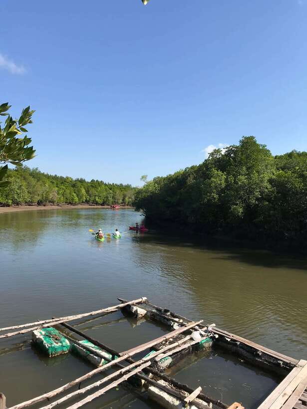 Ko Lanta: Half-Day Mangrove Kayaking Tour with Lunch - Who This Tour Fits Best on Ko Lanta