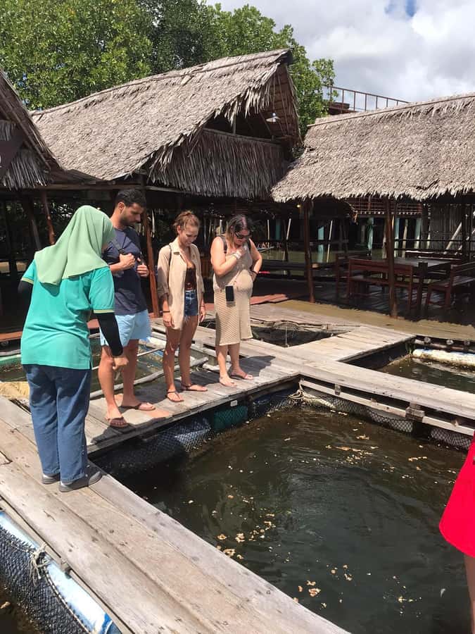 Ko Lanta: Half Day Tour Mangrove Boat Trip With Lunch - Timing and group size: how the day usually feels