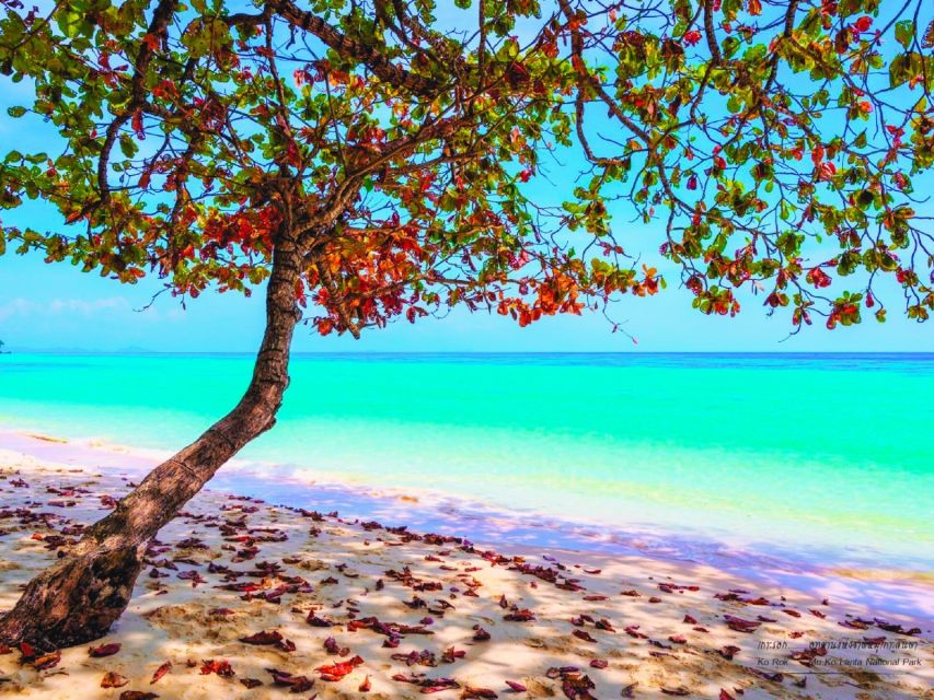 Ko Lanta: Koh Rok & Koh Haa Snorkelling Tour by Speedboat - Pickup timing: why the morning starts early