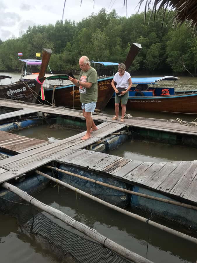 Ko Lanta: Mangrove Forest and Lanta Old Town with Lunch - Logistics that matter on this tour day