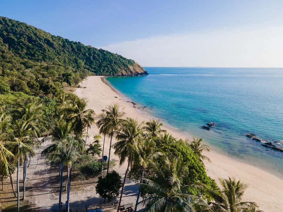 Ko Lanta: Mangrove Forest and Lanta Old Town with Lunch - Hotel Transfer to Tung Yee Peng Pier: The Day’s Pace and Setup