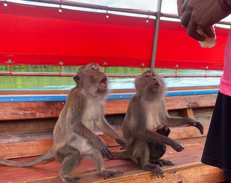 Ko Lanta: Mangrove Forest and Old Town Private Tour - Weather, Timing, and What to Bring (So You Don’t Cook in the Heat)