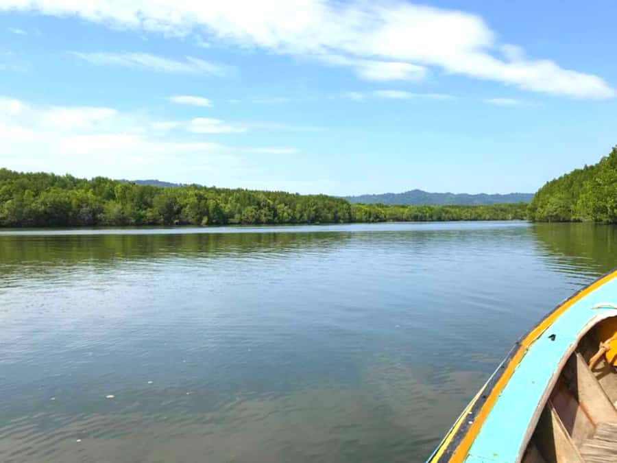 Ko Lanta: Mangrove Forest Boat Tour with Lunch or Dinner - Who should book this mangrove tour, and who might skip it