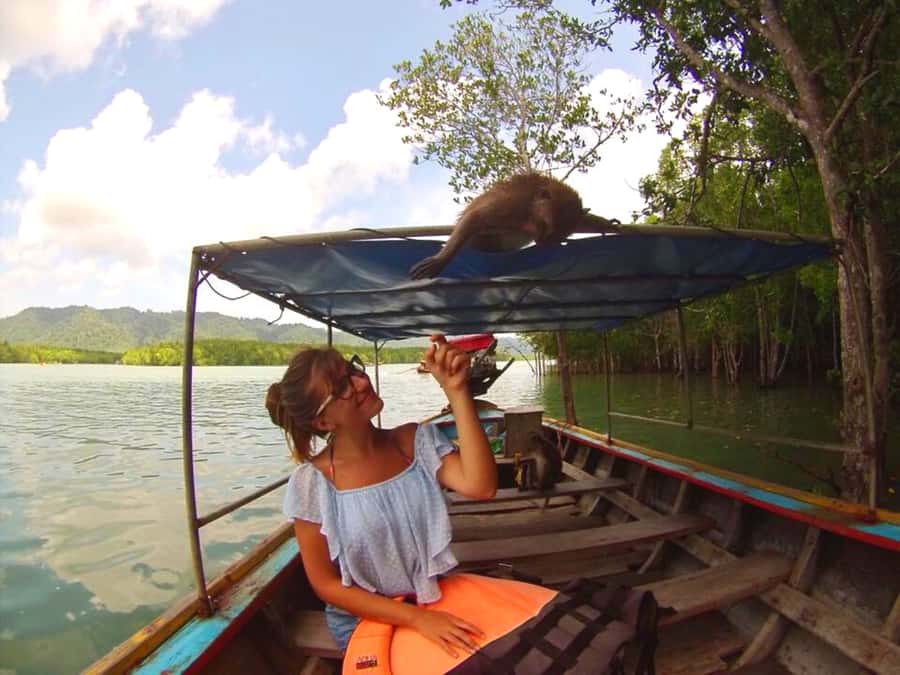 Ko Lanta: Mangrove Forest Boat Tour with Lunch or Dinner - Pickup and timing: how the morning and afternoon schedules fit real days