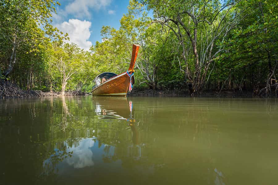 Ko Lanta: Mangrove Forest Boat Tour with Lunch or Dinner - Lunch or dinner at the restaurant: included food that ends the trip well