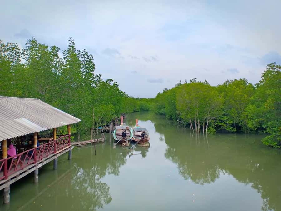 Ko Lanta: Mangrove Forest Boat Tour with Lunch or Dinner - Clothing and comfort: what to bring so the trip feels easy