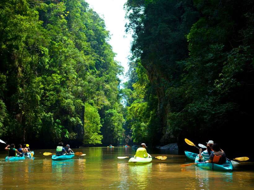 Ko Lanta: Mangrove Forest Kayak & Wildlife Adventure - Key Points to Know Before You Go