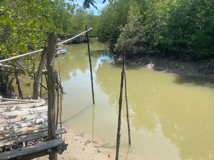 Ko Lanta: Mangrove Kayaking, Ko Talabeng, & Skull Island - Swimming and pristine beach stops: built-in cooldowns