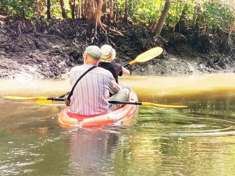 Ko Lanta: Mangrove Kayaking with Lunch and Hotel Transfer - A few practical tips so your mangrove day goes smoother