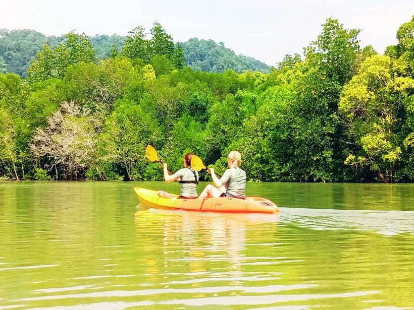 Ko Lanta: Mangrove Kayaking with Lunch and Hotel Transfer - Ko Lanta mangroves at Tung Yee Peng: what makes this paddle special