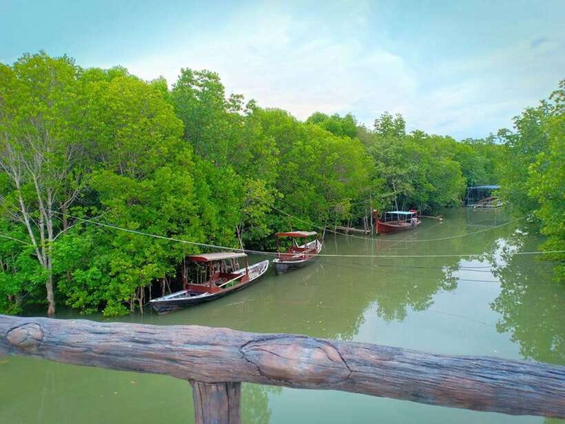 Ko Lanta: Mangrove Kayaking with Lunch and Hotel Transfer - Lunch or dinner plus seasonal fruit: the payoff at the end
