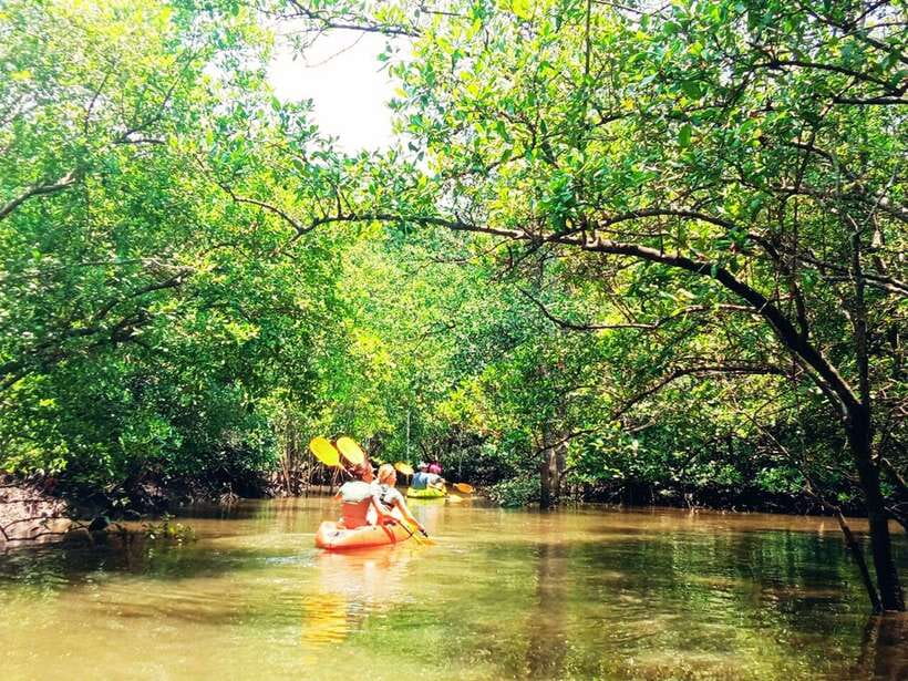 Ko Lanta: Mangrove Kayaking with Lunch and Hotel Transfer - Hotel pickup and timing: how the 3-hour schedule really works