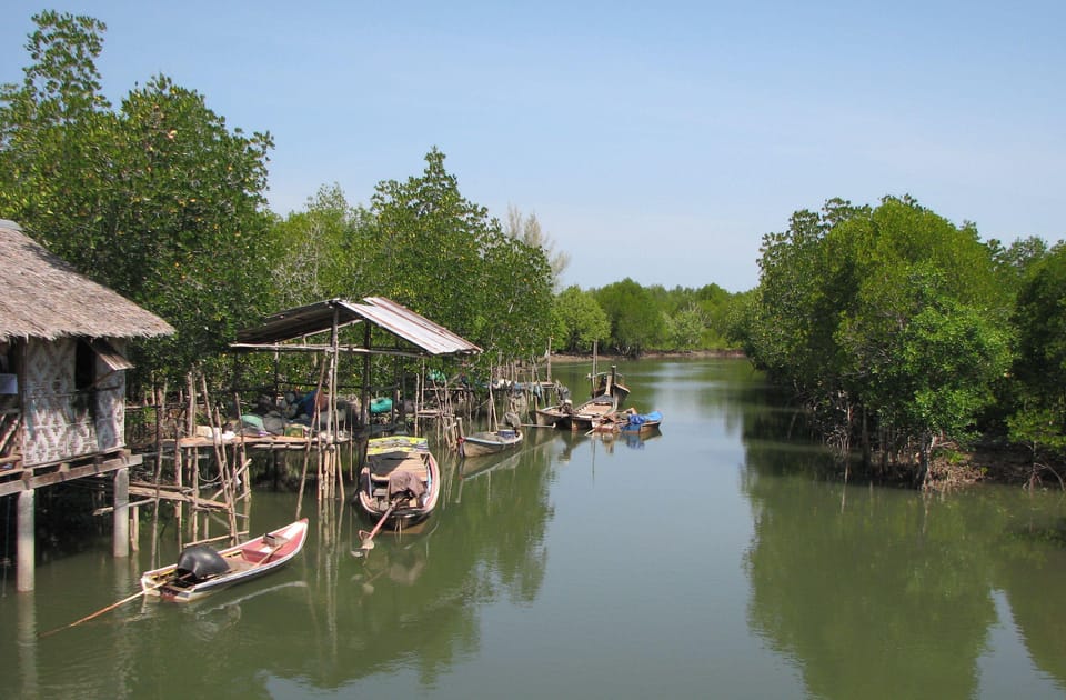 Ko Lanta: Old Town and Mangrove Forest Sightseeing Tour - Should You Book the Koh Lanta Old Town and Mangrove Forest Tour?
