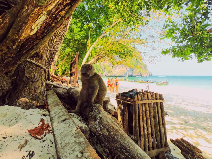 Ko Lanta: Phi Phi Day Trip by Speed Boat - Maya Bay photo stop: where the movie scenery shows up