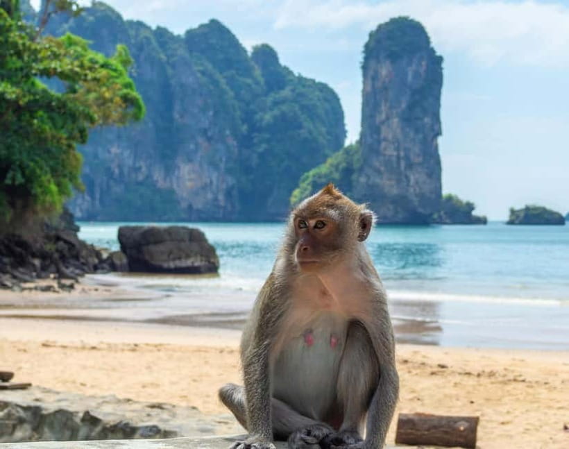 Ko Lanta: Private Exploration– Mangroves, Old Town & Beaches - Bamboo Beach for swimming and snorkeling: soft sand and easy marine time