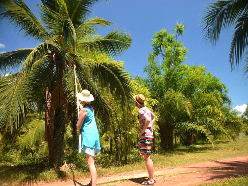 Ko Lanta: Private Gondola Cruise with Mangrove Forests - Coconut Water Stop at the Plantation: A Tasty Interruption
