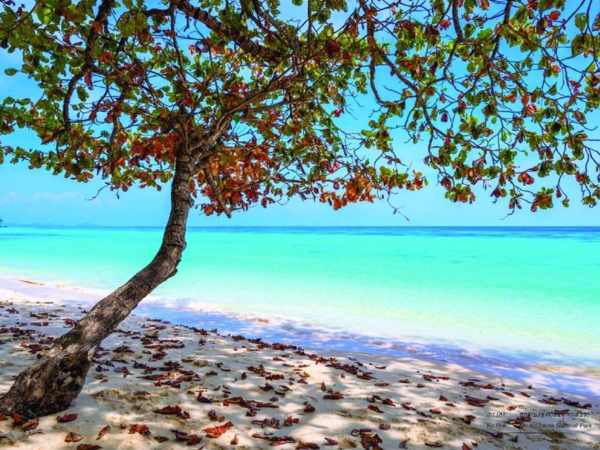 Ko Lanta: Private Longtail Rok Island Snorkeling Day Trip - Weather dependence: how to plan around the sea