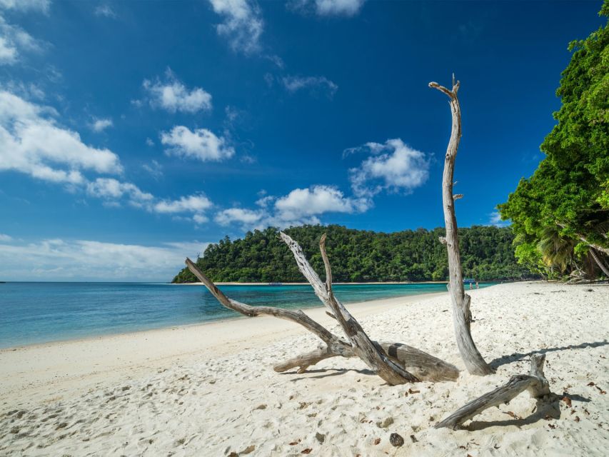 Ko Lanta: Private Longtail Rok Island Snorkeling Day Trip - Boat comfort, cleanliness, and guide style: the balanced part of choosing this trip