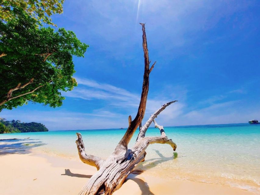 Ko Lanta: Private Longtail Rok Island Snorkeling Day Trip - First snorkeling stop around Ko Rok: what to expect under the surface