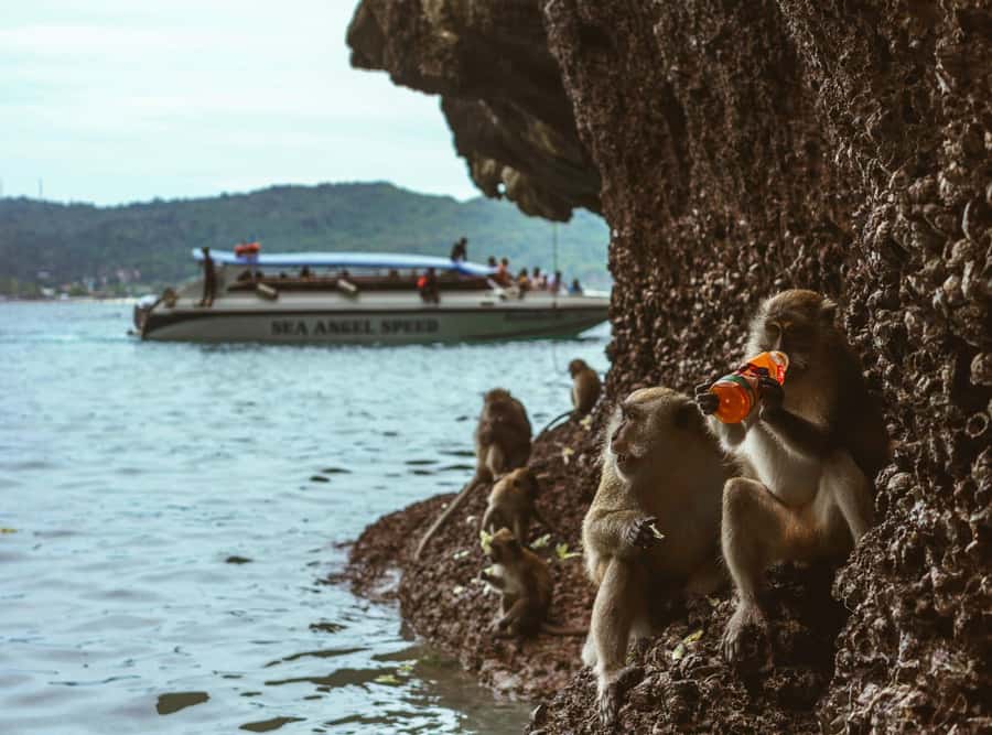 Ko Lanta: Private Mangrove Kayaking & Cave Exploration Tour - Tham Mai Kaew hike: where sturdy shoes earn their keep