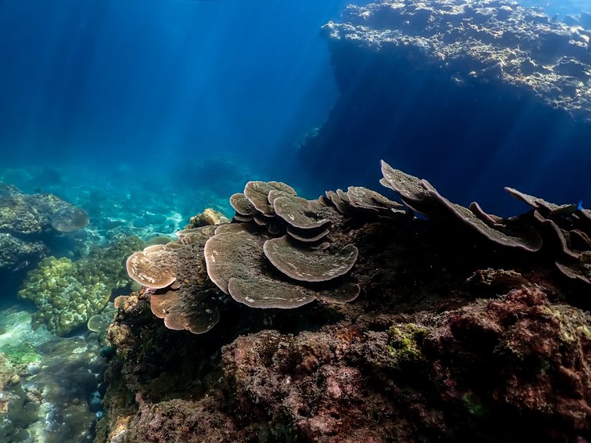 Ko Lanta: Private Snorkeling Tour at Ko Ma, Ko Ngai, Ko Mook - Ko Mook and Emerald Cave: the skylight-and-beach moment