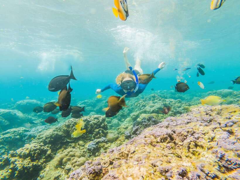 Ko Lanta: Snorkeling Adventure Tour to Koh Rok and Koh Haa - Koh Haa Five Islands Lagoon: Second Stop, Big Reef Time