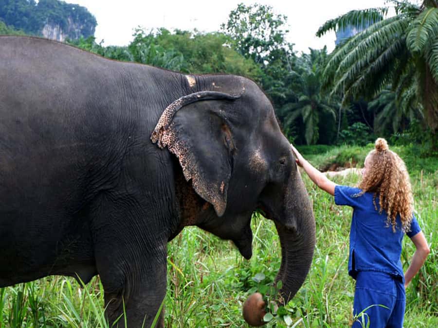 Ko Lanta Yai: Half-Day Ethical Elephant Sanctuary Tour - Practical Packing Checklist for Ko Lanta Elephant Days