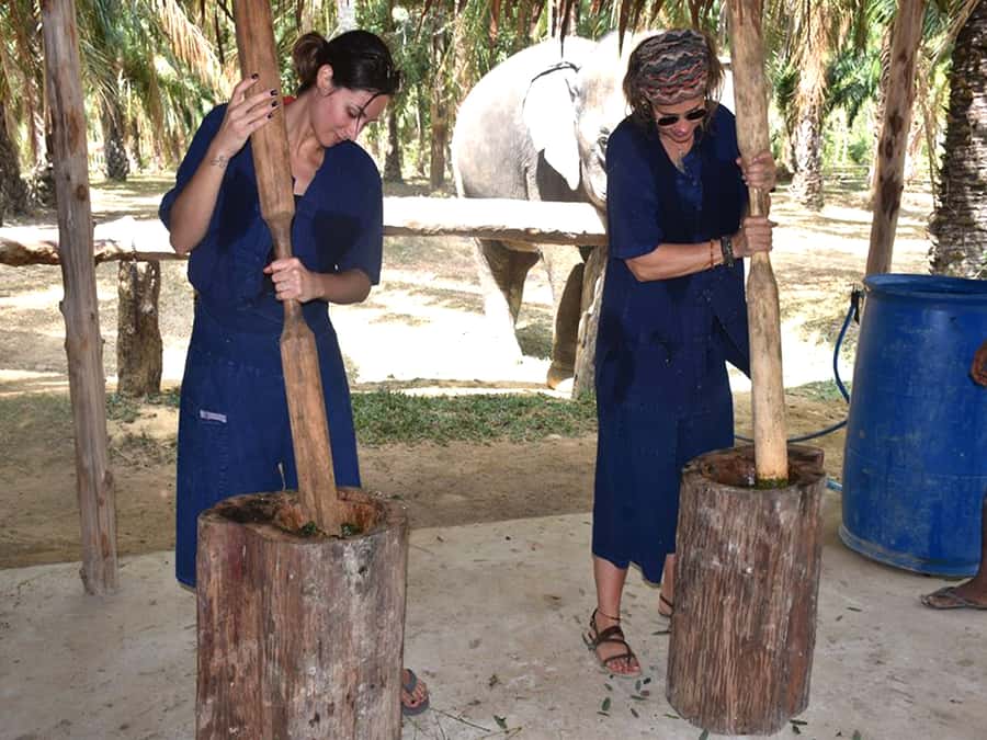 Ko Lanta Yai: Half-Day Ethical Elephant Sanctuary Tour - Mud Spa and Elephant Bathing: The Fun Is Real, the Mess Is Too