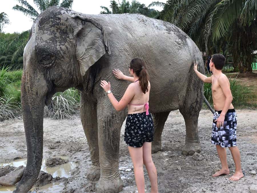 Ko Lanta Yai: Half-Day Ethical Elephant Sanctuary Tour - Getting There From Ko Lanta District: Pickup Times That Actually Help
