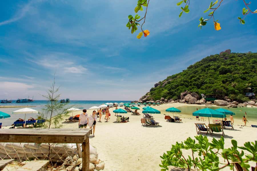 Ko Pha Ngan: Koh Tao & Koh Nangyuan Snorkeling Adventure - What You’ll Really Be Paying For