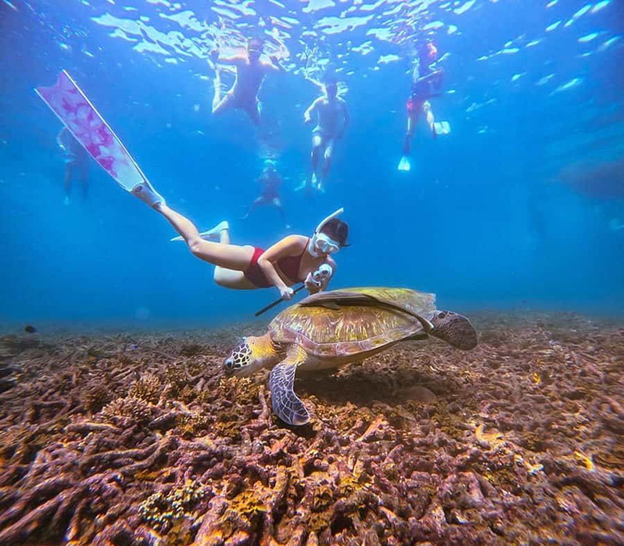 Ko Pha Ngan: Koh Tao & Koh Nangyuan Snorkeling Adventure - Key Points Before You Go