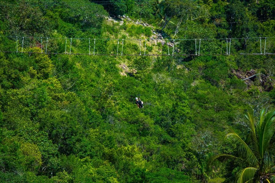 Ko Pha Ngan: Sky-High Zipline & Wang Sai Waterfall Views - Time, Meet-Up, and Real-World Logistics That Matter