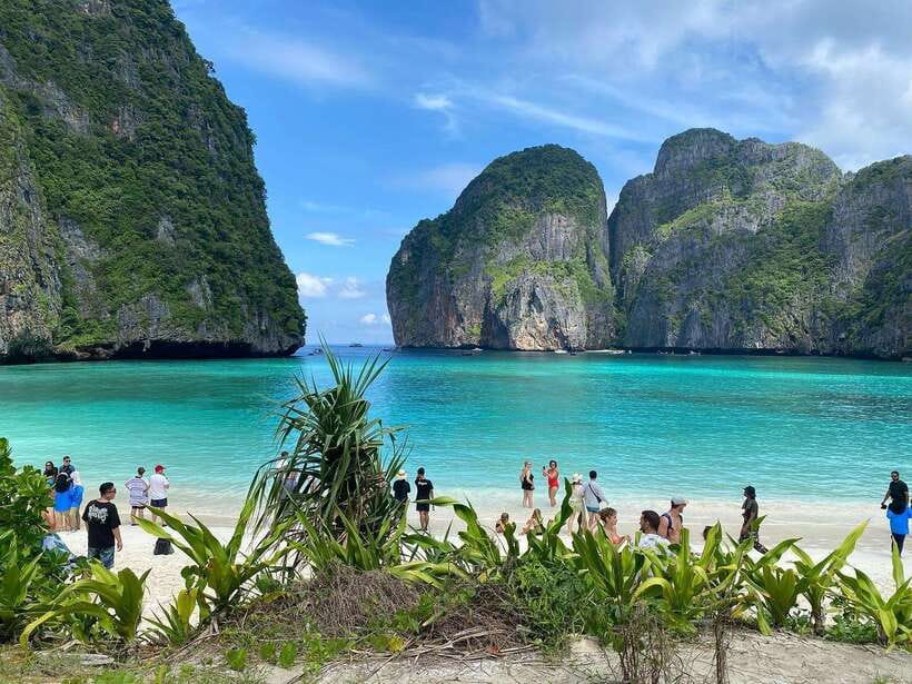 Ko Phi Phi Don: Speedboat Day Trip with Shark Snorkeling - Snorkeling Stops Built Around Odds, Not Guarantees