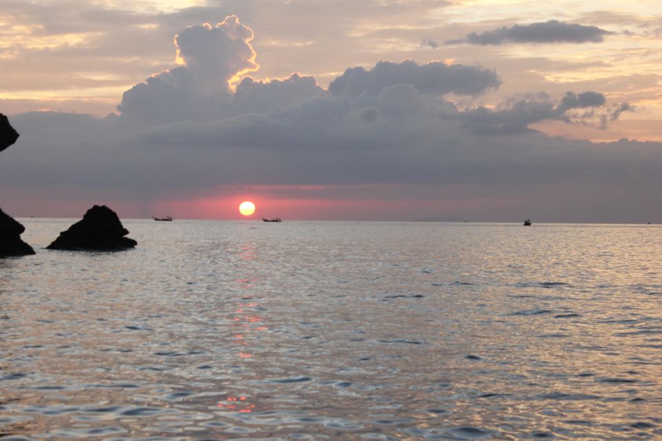 Ko Phi Phi Don: Speedboat Day Trip with Shark Snorkeling - Night Swim for Bioluminescent Plankton: The Most Magical, If You Can Handle Dark Water